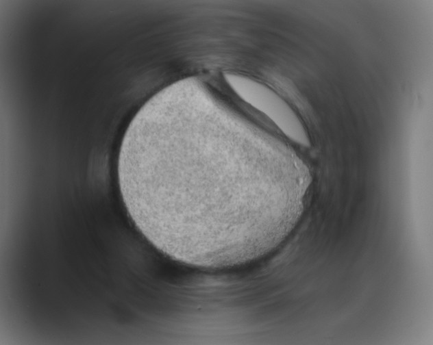 X0000088450250200706191316