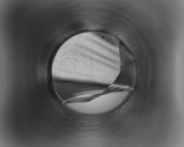 X0000088450252200706191316