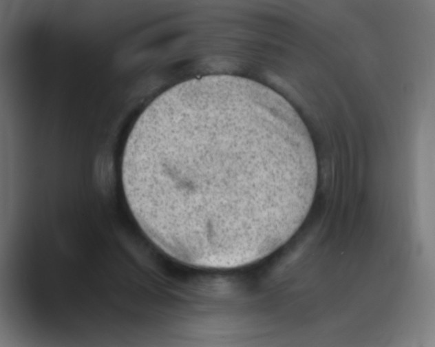 X0000088450254200706191316