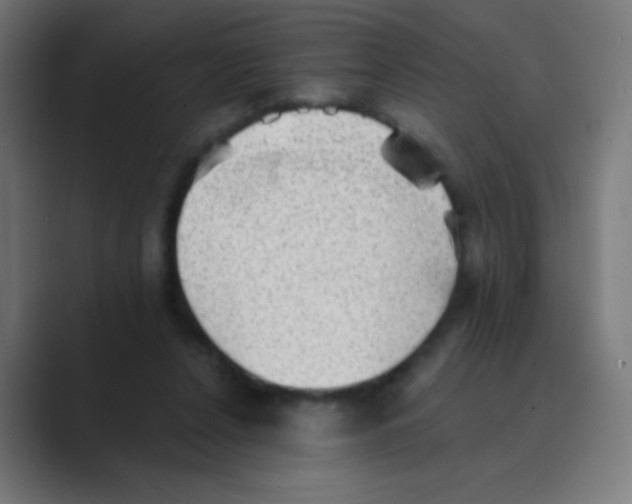 X0000088450256200706191316