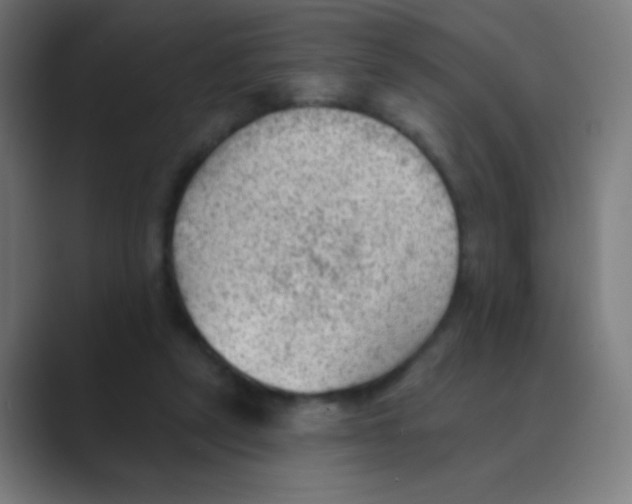 X0000088450257200706191316