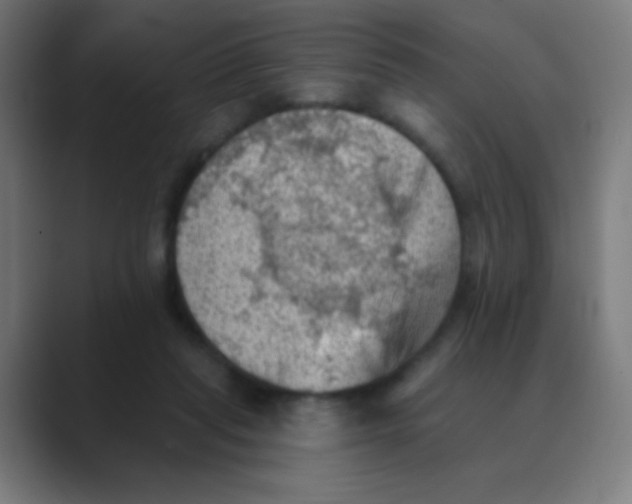 X0000088450261200706191316