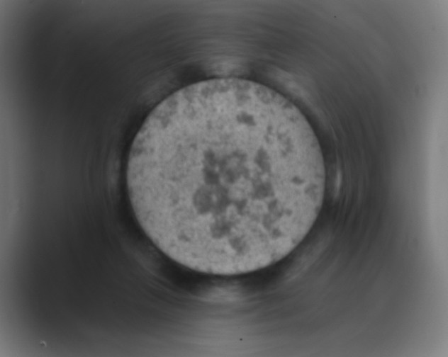 X0000088450263200706191316
