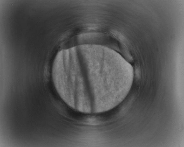 X0000088450264200706191316