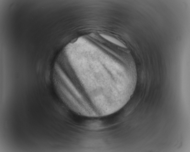 X0000088450266200706191316