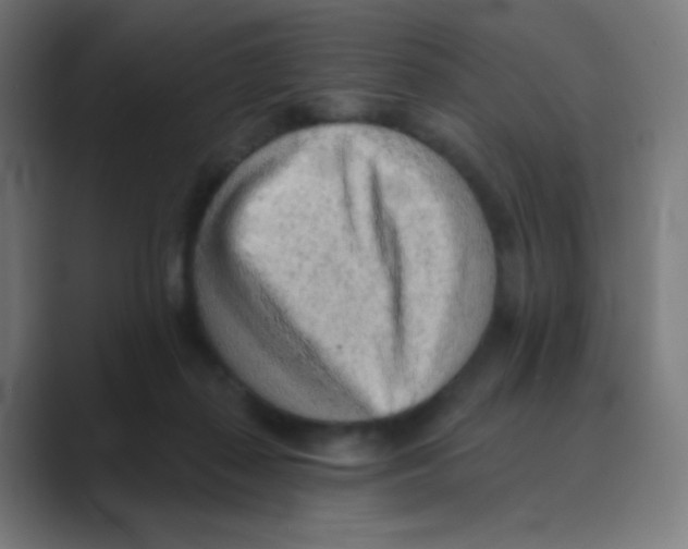 X0000088450267200706191316