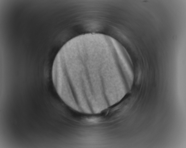 X0000088450268200706191316