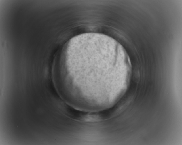 X0000088450270200706191316