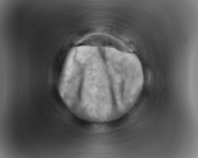 X0000088450272200706191316