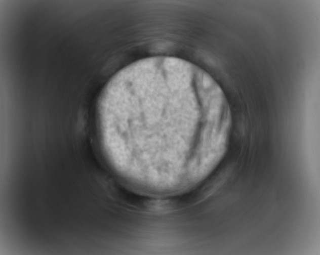 X0000088450273200706191316