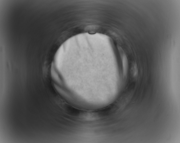 X0000088450276200706191316