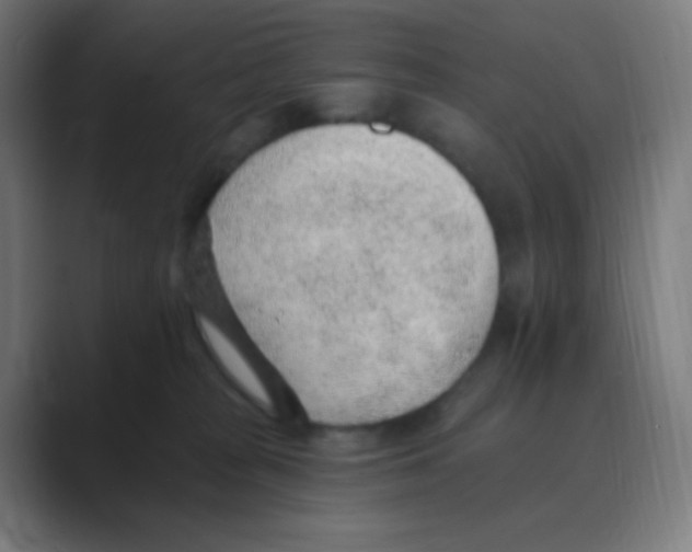 X0000088450277200706191316