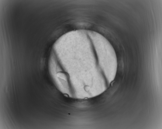 X0000088450278200706191316