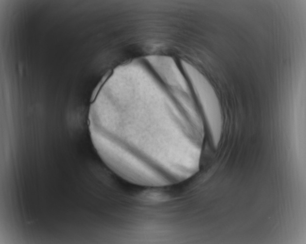 X0000088450280200706191316