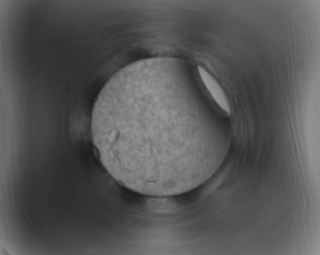 X0000088450281200706191316