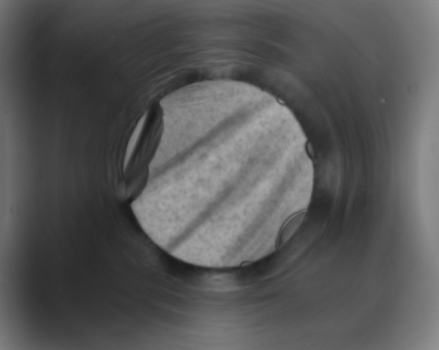 X0000088450283200706191316