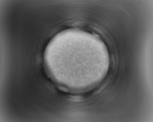 X0000088450284200706191316