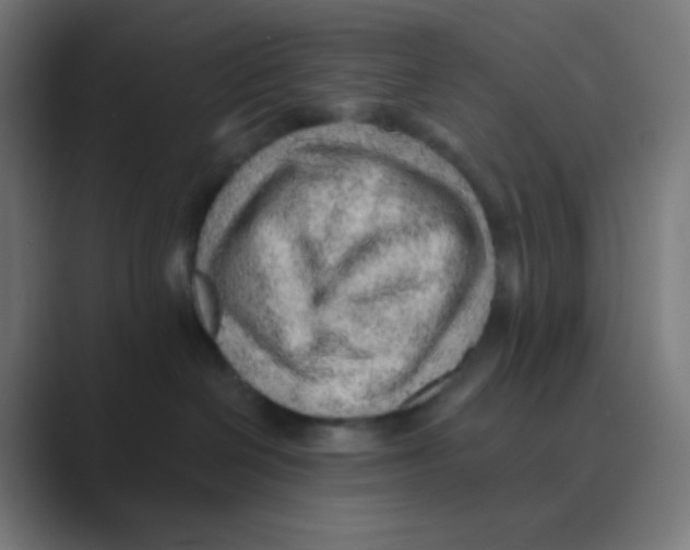 X0000088450286200706191317