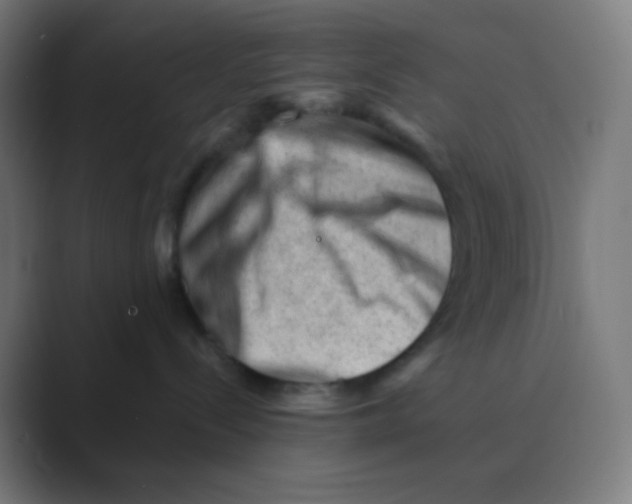 X0000088450288200706191317