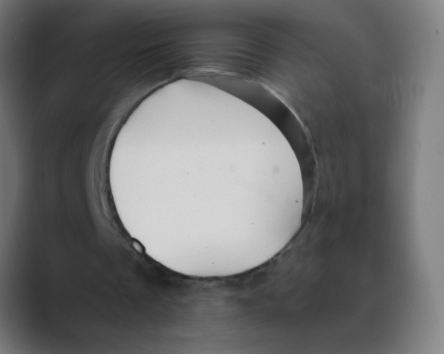X0000088450289200706191316