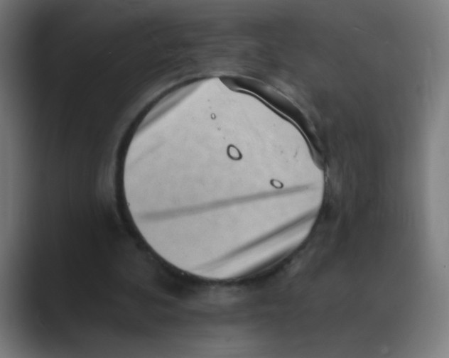 X0000088450292200706191316