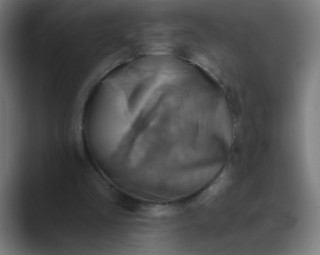 X0000088450293200706191316