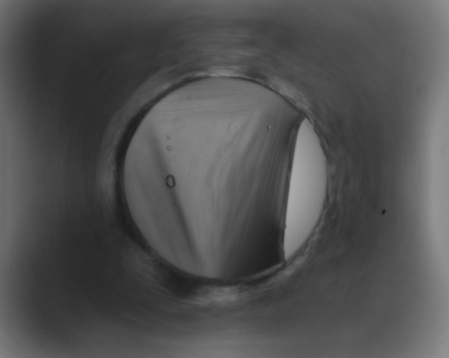 X0000088450295200706191316
