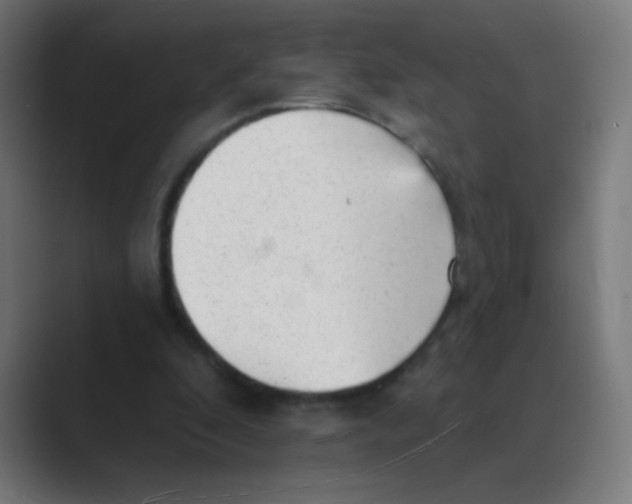 X0000088450296200706191316