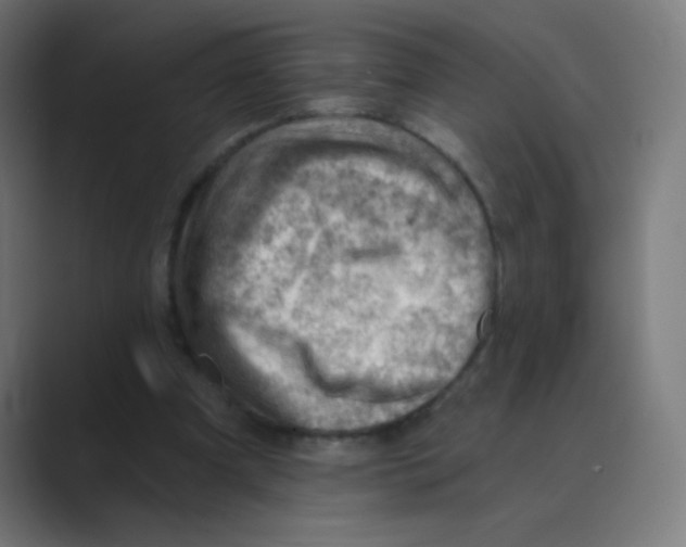 X0000088450297200706191316