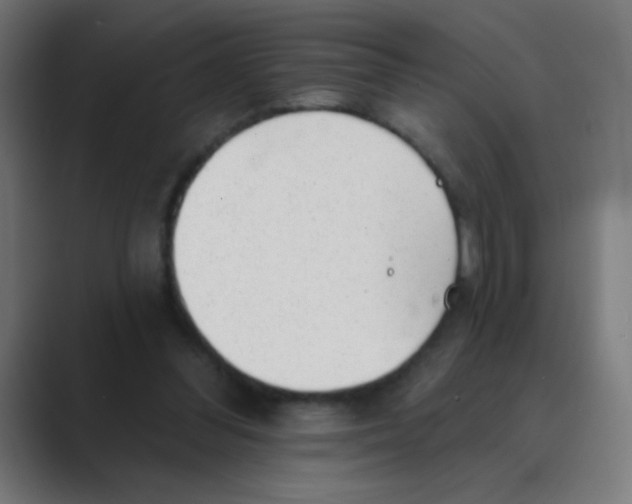 X0000088450300200706191316
