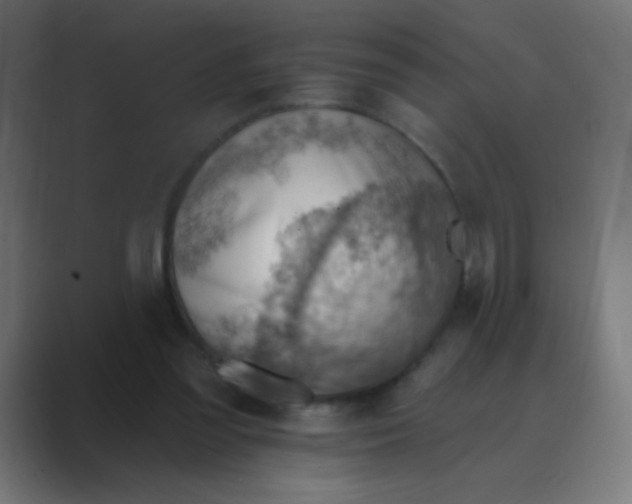 X0000088450301200706191316