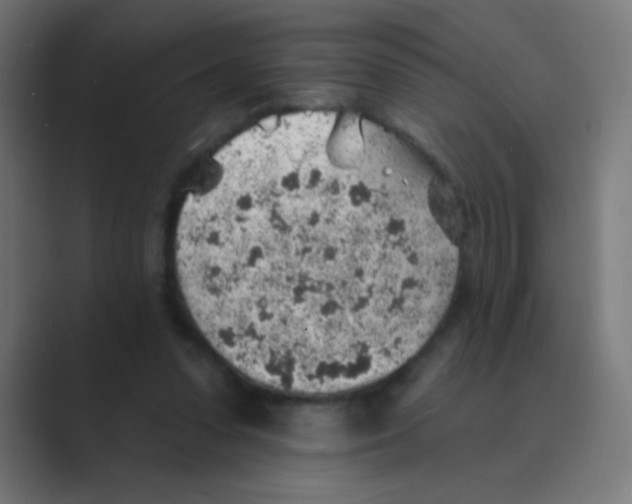X0000088450303200706191316