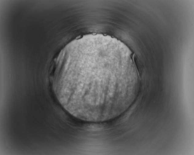 X0000088450305200706191316