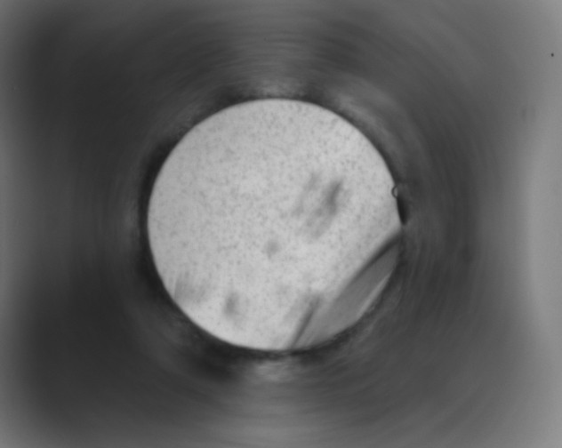 X0000088450306200706191316