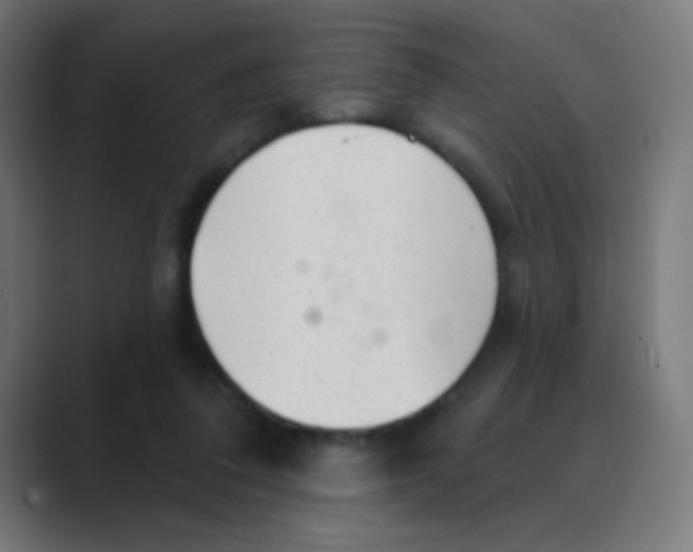 X0000088450308200706191316