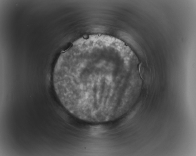 X0000088450309200706191316