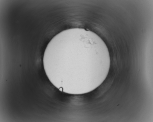 X0000088450320200706191316