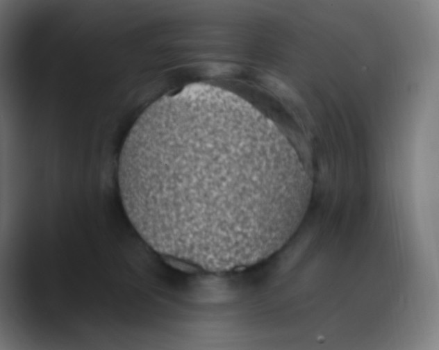 X0000088450325200706191316
