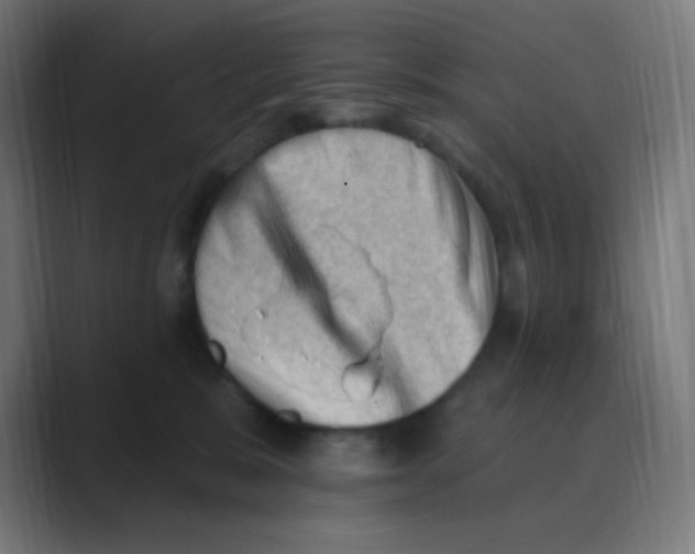 X0000088450327200706191316