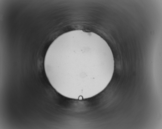 X0000088450332200706191315