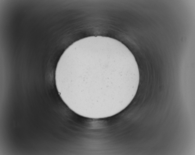 X0000088450336200706191315