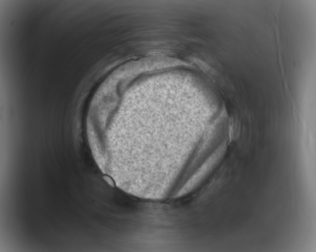 X0000088450339200706191315
