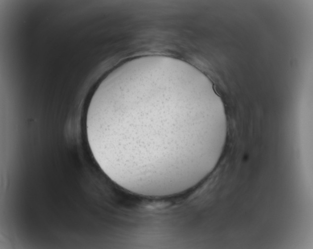 X0000088450340200706191315