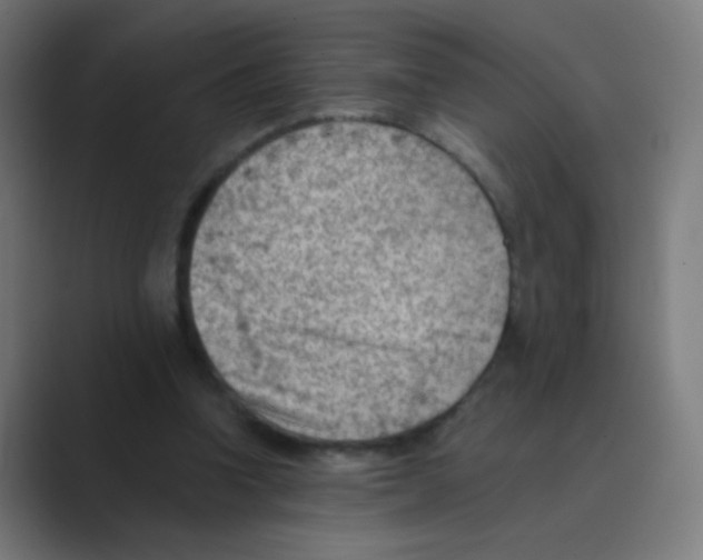 X0000088450346200706191315