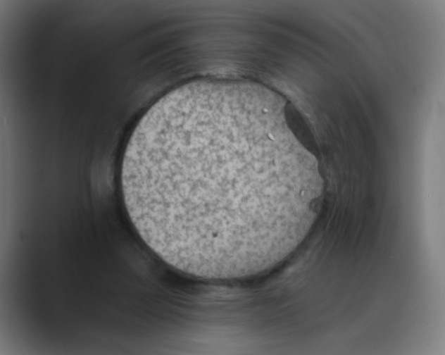 X0000088450347200706191315