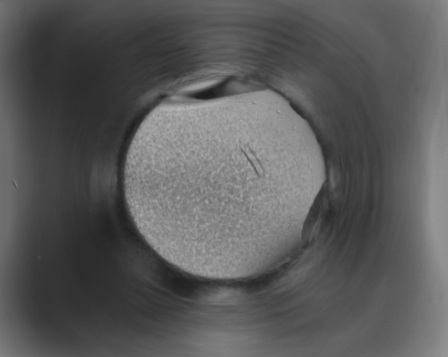 X0000088450348200706191315