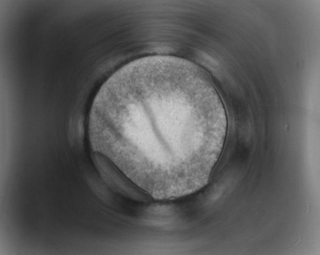 X0000088450350200706191315