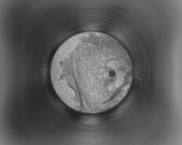 X0000088450351200706191315