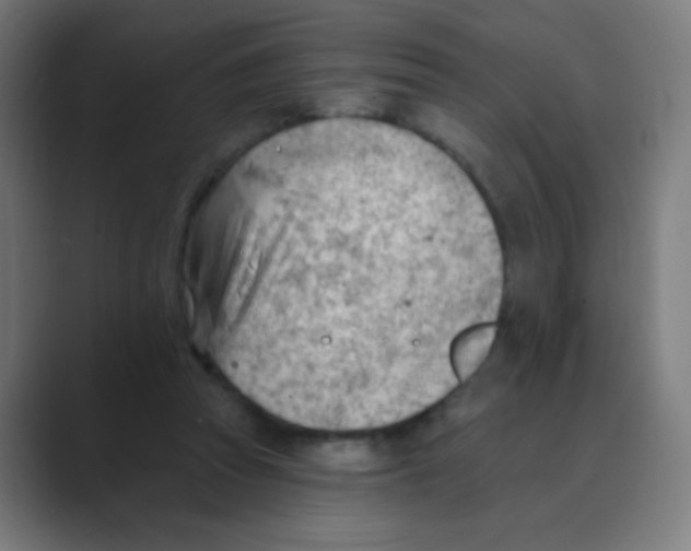 X0000088450353200706191315