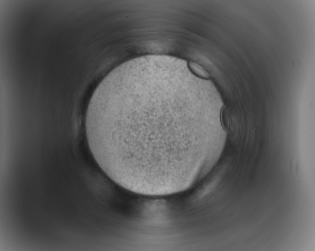 X0000088450355200706191315